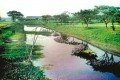 Louhajang River