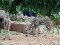 Dhaka National Zoo
