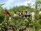 Social Forestry