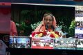 PM declared Sundarbans bandit-free